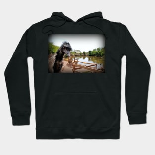 Emu Photobomb Hoodie